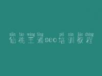 仙桃王通seo培训教程_关键词排名优化软件