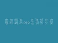 鄢陵周末seo培训多少钱，什么是网络优化
