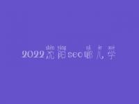 2022沈阳seo哪儿学_收费标准_联系方式