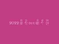 2022新余seo哪个好_通常学费要好多