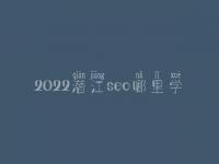 2022潜江seo哪里学_费用标准_联系电话