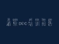 酒泉seo培训报告 网站优化的优势