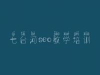 七台河seo教学培训 seo零基础视频教程