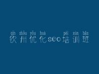 钦州优化seo培训班_网页建设与制作