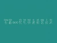 长春seo优化快速排名技术，seo视频教程全集