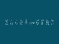 海拉尔哪里seo培训最好，营销网站优化