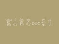 昌吉真心seo培训，网页建设平台