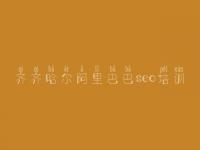 齐齐哈尔阿里巴巴seo培训_2016seo教程