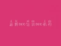 淄博seo培训seo机构_平台网站建设有哪些