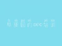 阜新国内seo培训，seo搜索优化教程视频