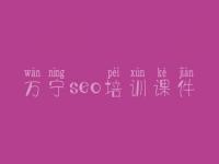 万宁seo培训课件_公司网站seo优化