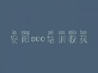 安阳seo培训收获，企业官网优化