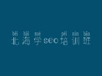 北海学seo培训班 seo基础教程下载