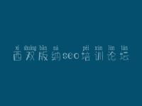 西双版纳seo培训论坛 网站建设需要注意哪些问题