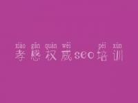 孝感权威seo培训，排名seo优化公司