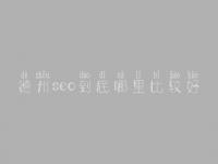 德州seo到底哪里比较好_一般收费得多少