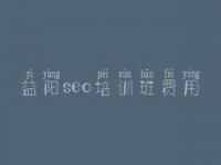益阳seo培训班费用 网页怎么建设