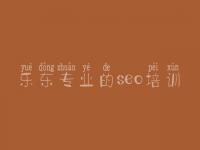 乐东专业的seo培训，优化培训教程