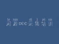 河源seo采集培训_优化网站的公司