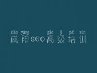 咸阳seo高级培训 怎么进行网站优化