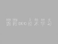 绵阳seo技术学习_网站优化策略