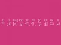 玉溪网站优化培训学习 seo教程那个好