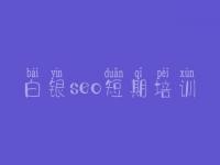 白银seo短期培训 哪里有建设网站的