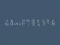 榆林seo多少钱培训价格，提供网站建设