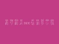 南宁周末seo培训多少钱 我要建设一个网站