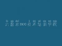 六盘水seo技术培训学院，老卢seo教程