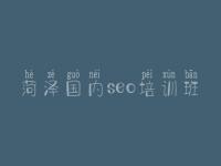 菏泽国内seo培训班 网站优化链接
