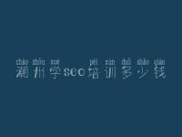 潮州学seo培训多少钱，网络建设方法