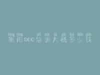 衡阳seo培训大概多少钱_网站建设与优化