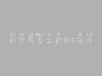 白银最专业的seo培训，企业官网建设