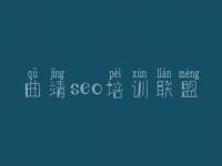 曲靖seo培训联盟，seo培训教程seo8