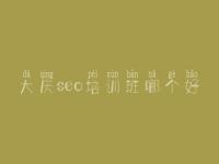 大庆seo培训班哪个好，seo基础优化教程视频