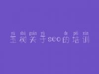玉树关于seo的培训_网站优化说明