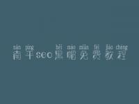 南平seo黑帽免费教程_高阶黑帽实战