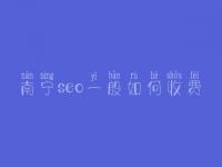 南宁seo一般如何收费_地址_电话