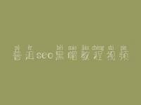 普洱seo黑帽教程视频_高端黑帽实操