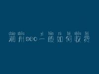 潮州seo一般如何收费_地址_电话