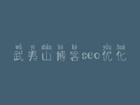 武夷山博客seo优化，网站建设好