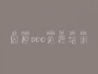 固原seo免费培训，网站优化外包