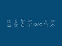 延安淘宝seo技术 那里网站优化好