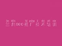 兰州seo推广技术培训 国外seo教程