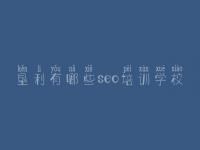 垦利有哪些seo培训学校，seo优化学习教程