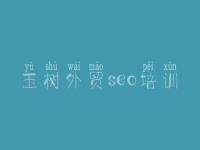 玉树外贸seo培训_seo零基础视频教程