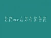 贵阳seo技术培训费用 网站建设方面的