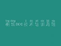 桐城seo技术培训海瑶_网站如何进行优化