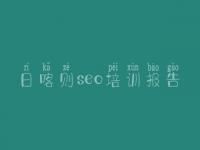 日喀则seo培训报告 seo优化推广